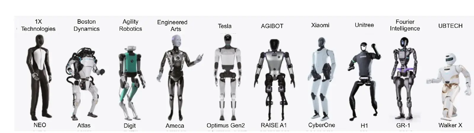 Ten humanoid robots in a row: NEO, Atlas, Digit, Ameca, Optimus Gen2, RAISE A1, CyberOne, H1, GR-1 and Walker X